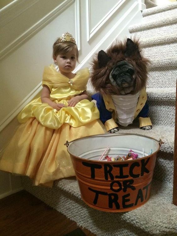 dog halloween costumes