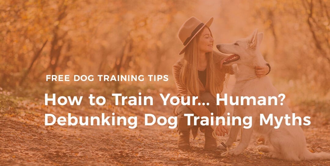 How to Train Your… Human? Debunking Dog Training Myths