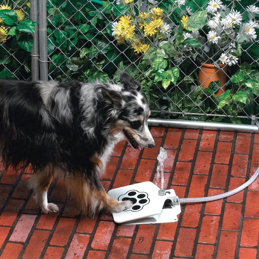 holiday water fountain