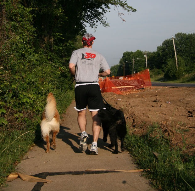 Springtime Trailblazing: Dog Safety Tips For Northern Nevada Nature