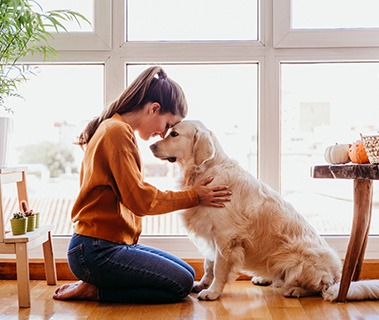 teach dog to stop jumping