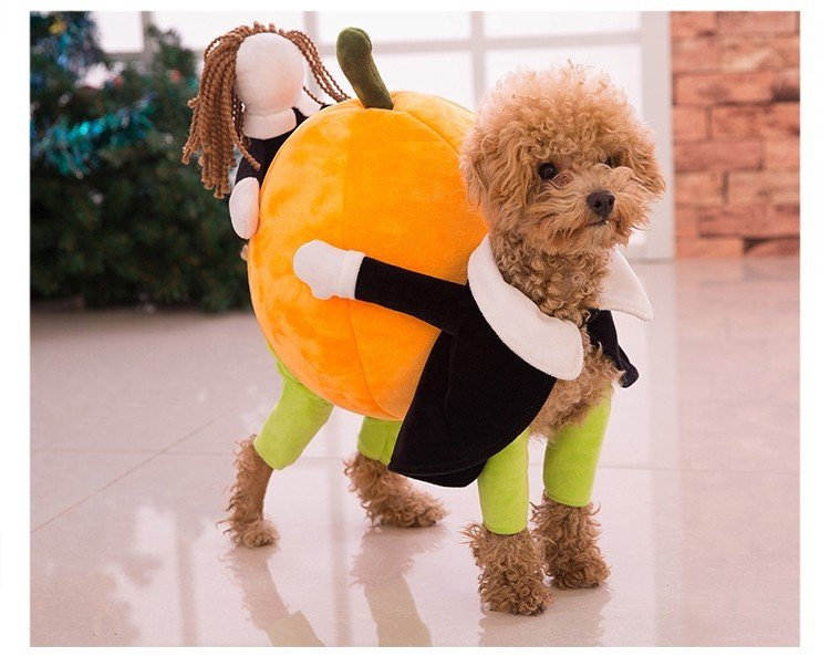 dog halloween costumes