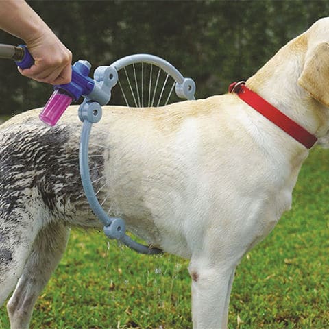 woof washer christmas toy