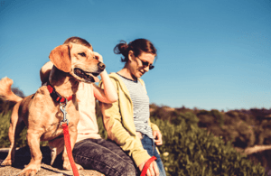 Dog Training and Boarding- Dog with Family