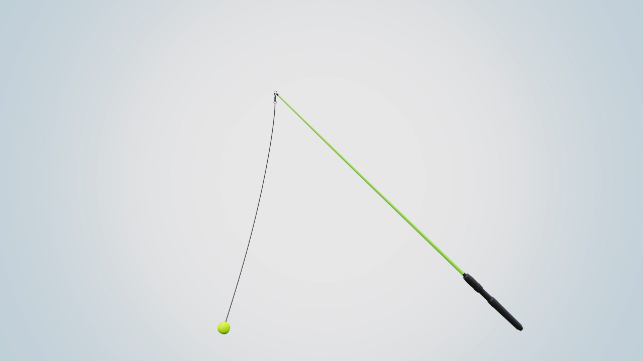 Dog Gone Fun Exerciser product view